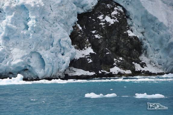 Blocos de gelo provenientes das geleiras do Drygalski Fjord, na Geórgia do Sul